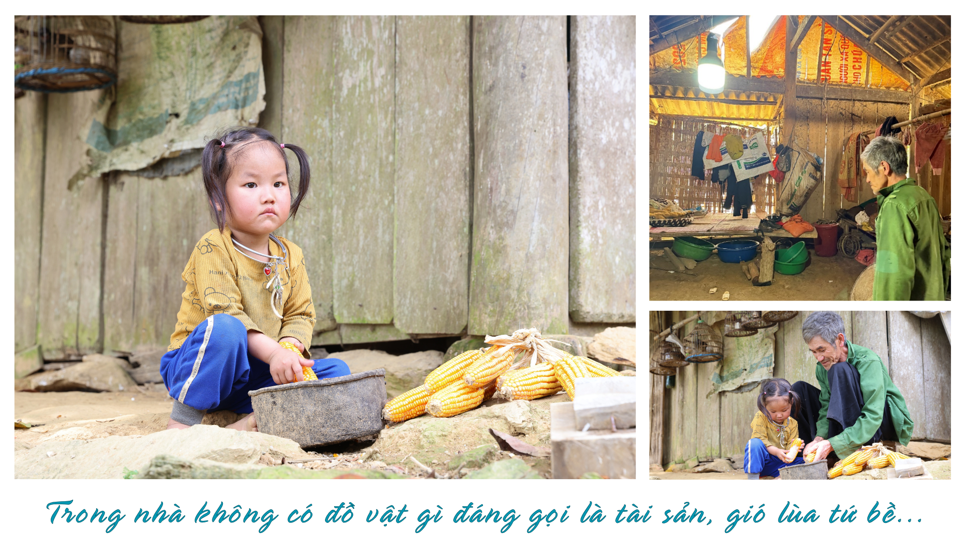 Mệnh lệnh từ trái tim, của lương tri và trách nhiệm với cộng đồng