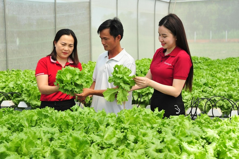 Nguồn vốn Agribank giúp hiện thực hóa ước mơ làm giàu của người nông dân trên chính mảnh đất quê hương.