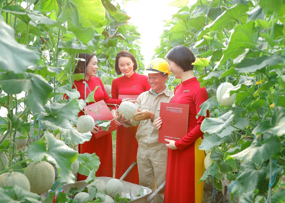 Các ngân hàng vẫn còn những thách thức trong việc cấp tín dụng xanh