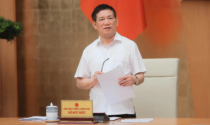 Phó thủ tướng chủ trì cuộc họp - Ảnh: VGP