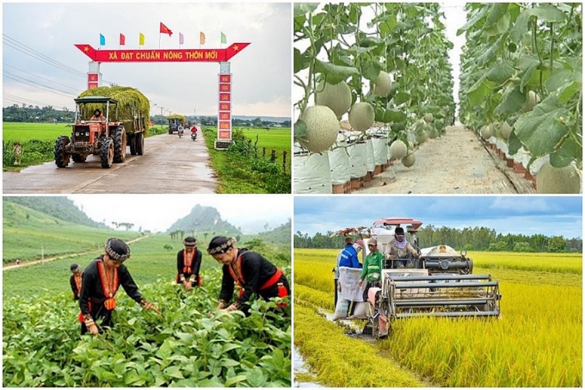 Nghị định về chính sách tín dụng phục vụ phát triển nông nghiệp nông thôn