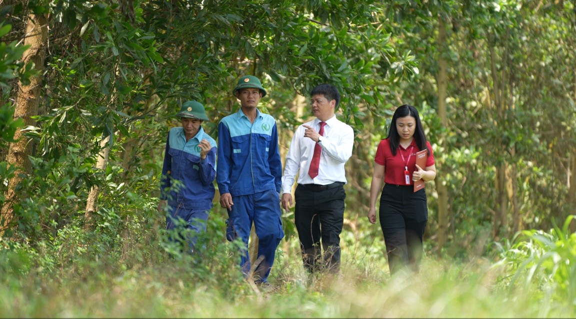 tín chỉ carbon
