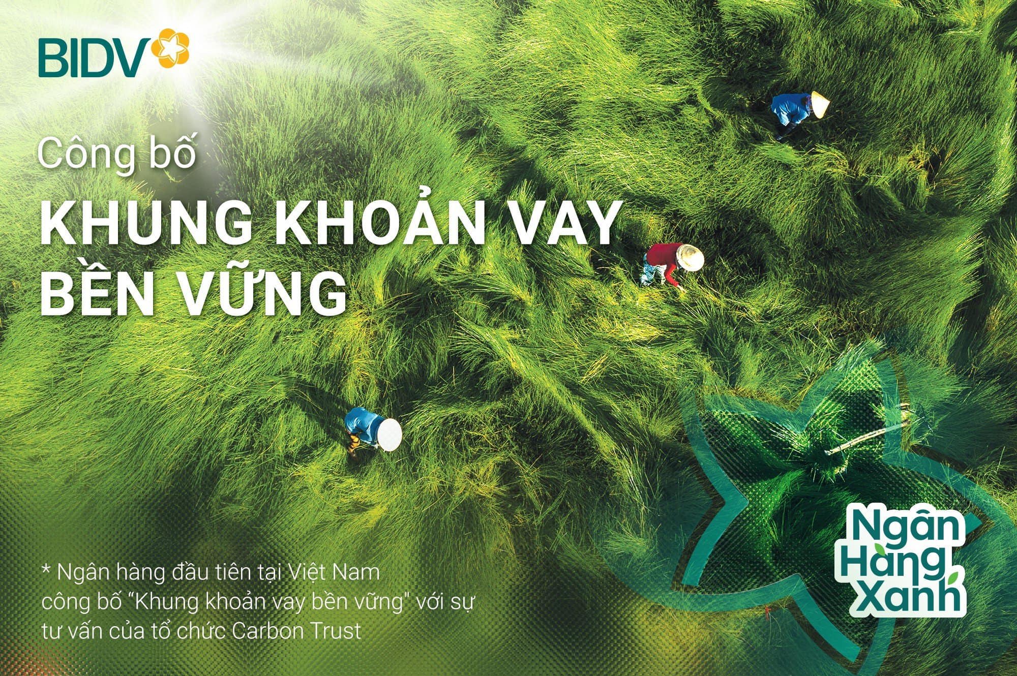 BIDV giữ vững Top 20 cổ phiếu phát triển bền vững Việt Nam