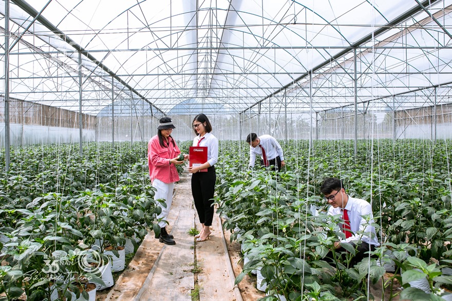 Tín dụng xanh tại Agribank: Dấu ấn tiên phong vì sự phát triển bền vững