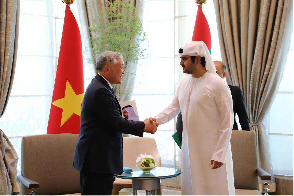 Phó Thủ tướng Nguyễn Hòa Bình làm việc với Phó Thủ tướng UAE