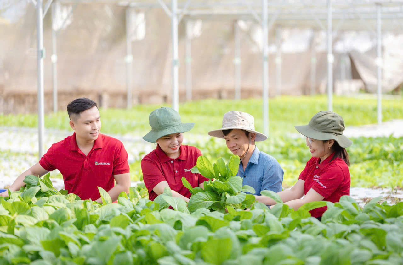 Agribank tự hào lớn mạnh trong 80 năm  Hành trình Độc lập - Tự do - Hạnh phúc của đất nước