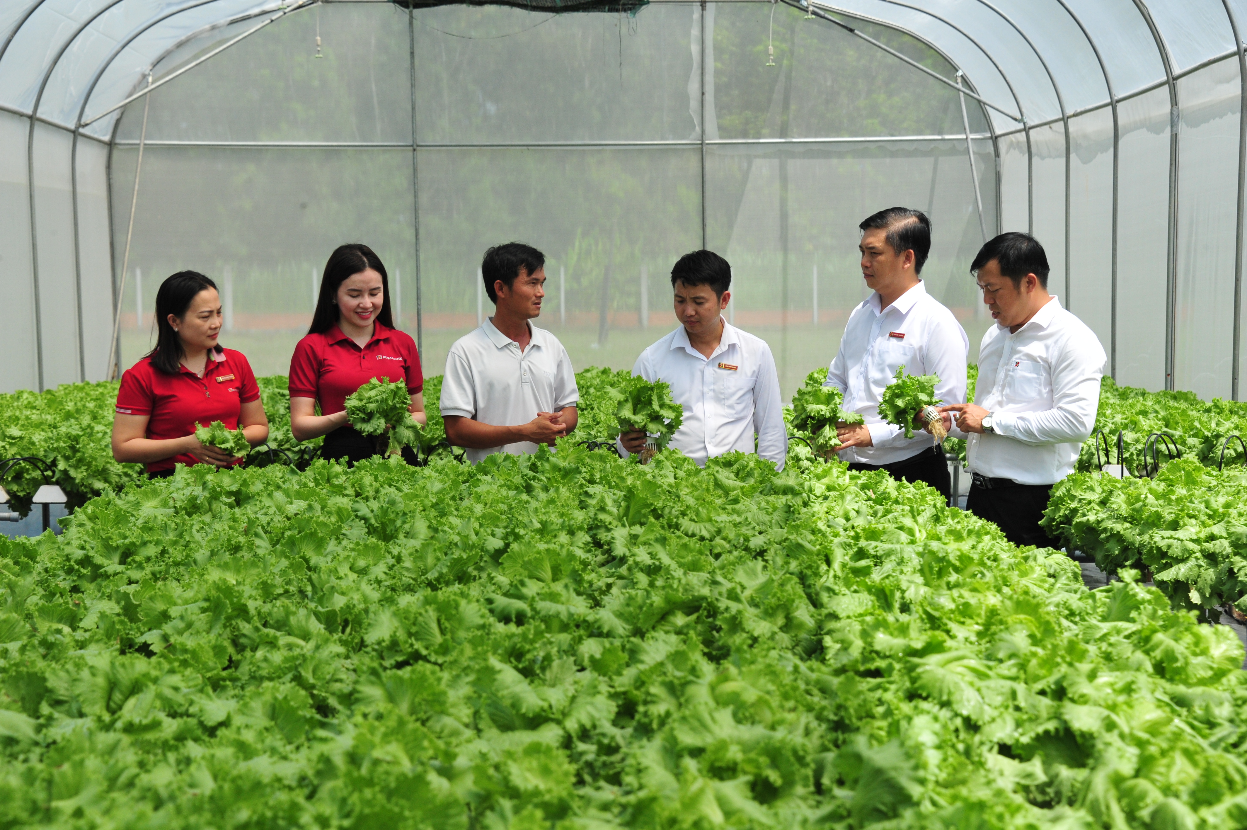 Agribank luôn tiên phong triển khai các chính sách tín dụng ưu đãi, tạo đòn bẩy cho sự phát triển bền vững cho nông nghiệp, nông thôn