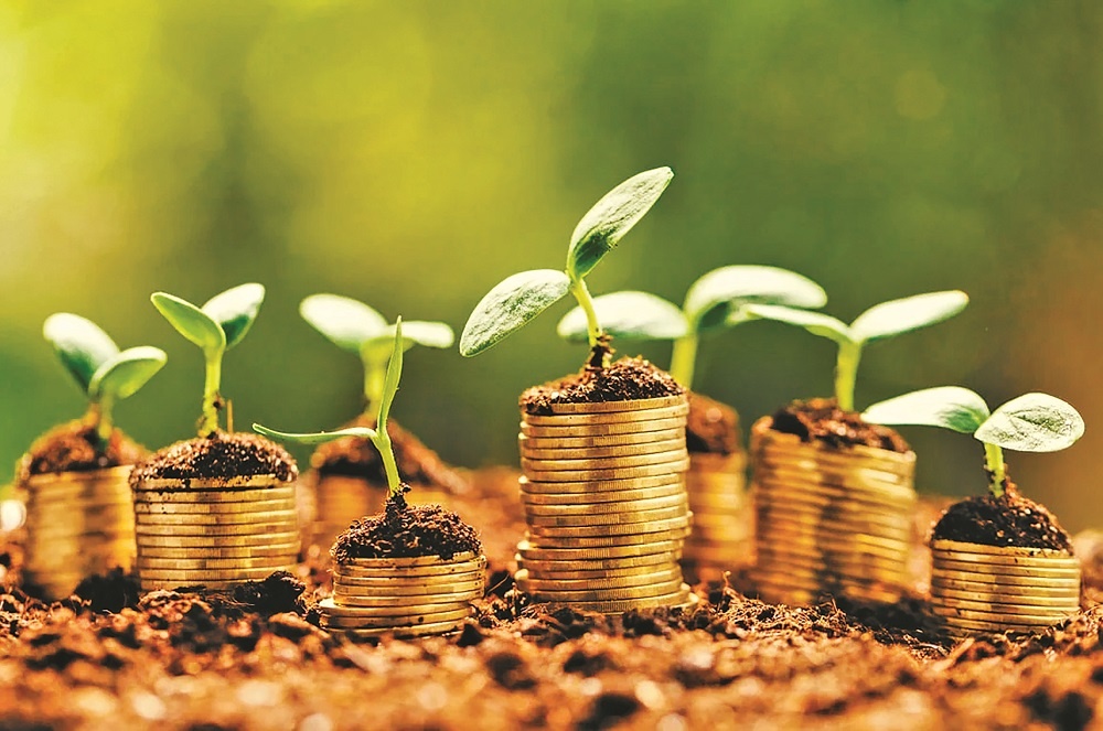 Hỗ trợ lãi suất 2%: Cú hích cho dòng vốn xanh tăng tốc