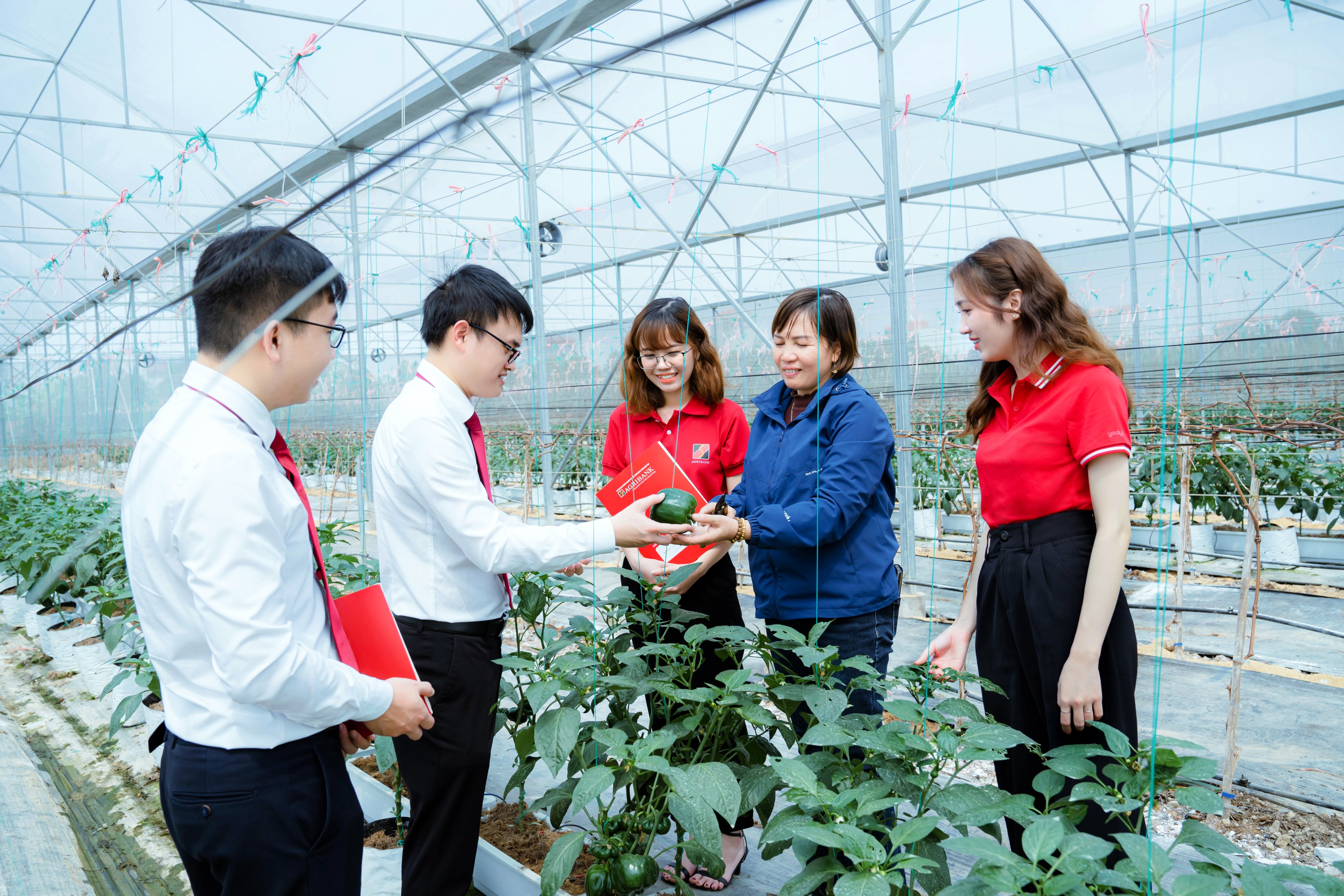 Nguồn vốn Agribank góp phần vẽ nên bức tranh nông thôn mới khởi sắc, hiện đại và bền vững