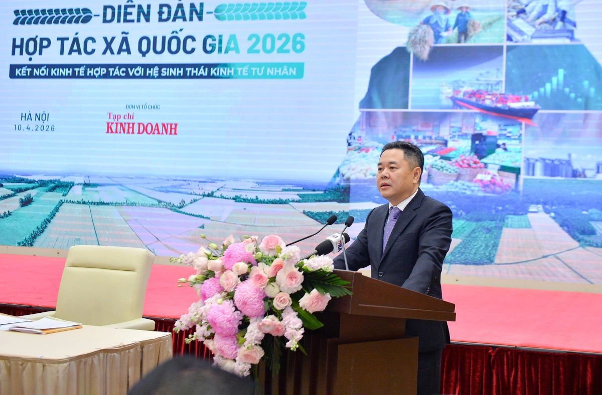 Phó Thống đốc Nguyễn Ngọc Cảnh phát biểu tại Diễn đàn Hợp tác xã Quốc gia 2026