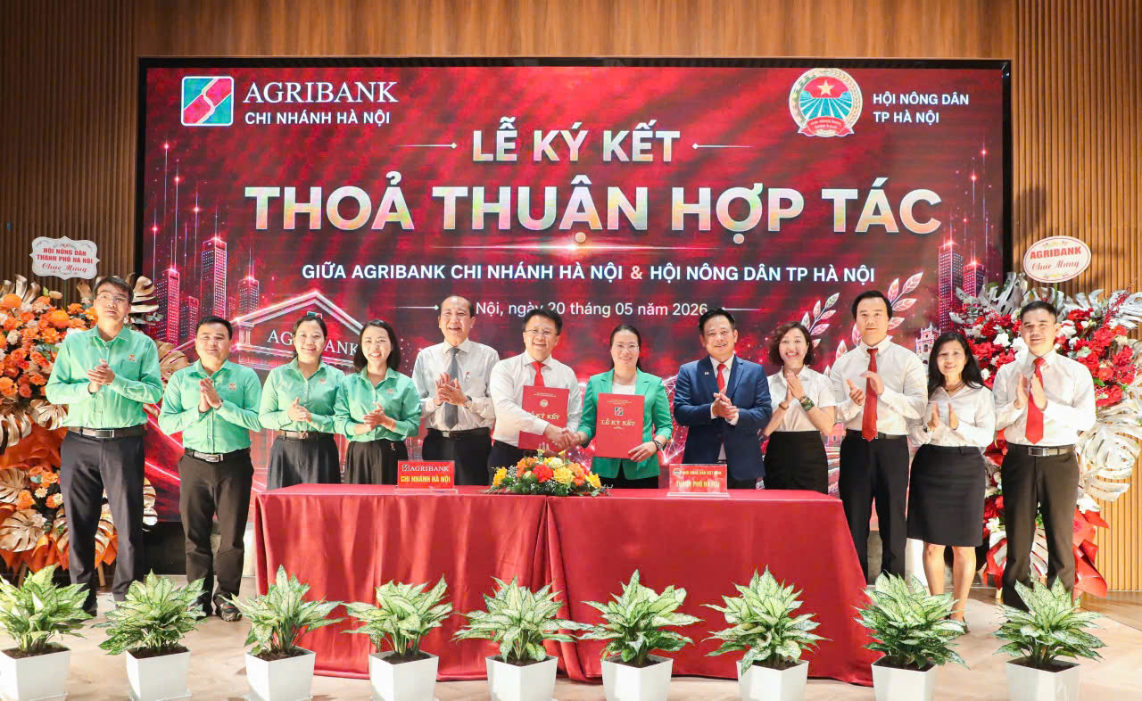 hợp tác