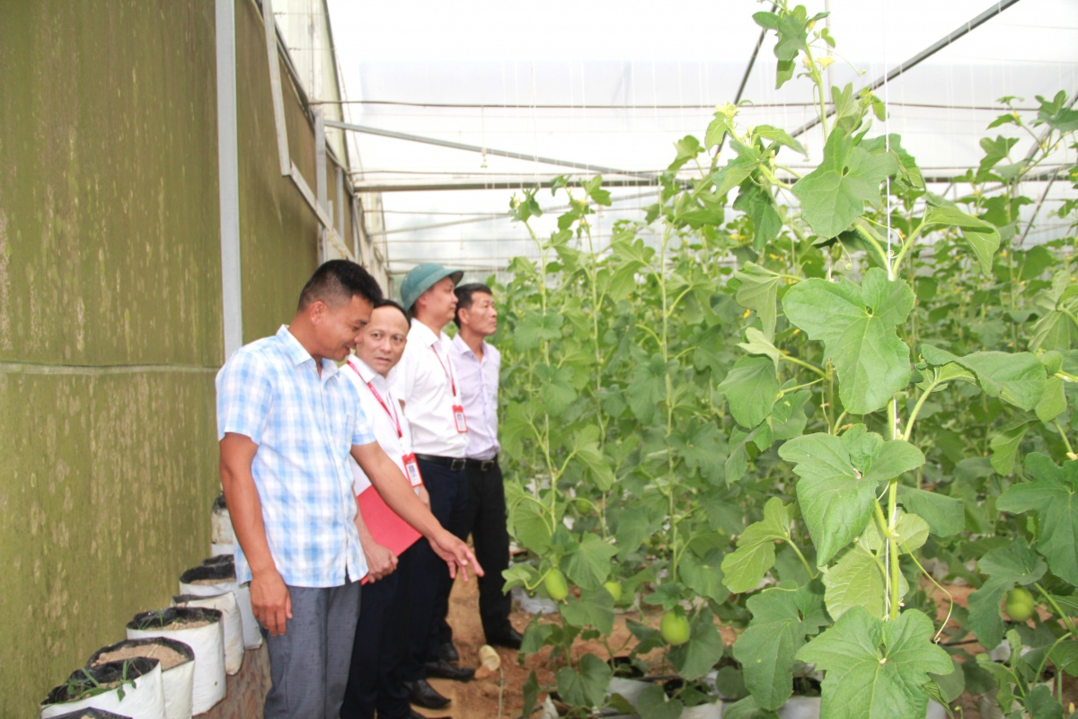 Vốn ngân hàng: Đòn bẩy phát triển kinh tế nông thôn