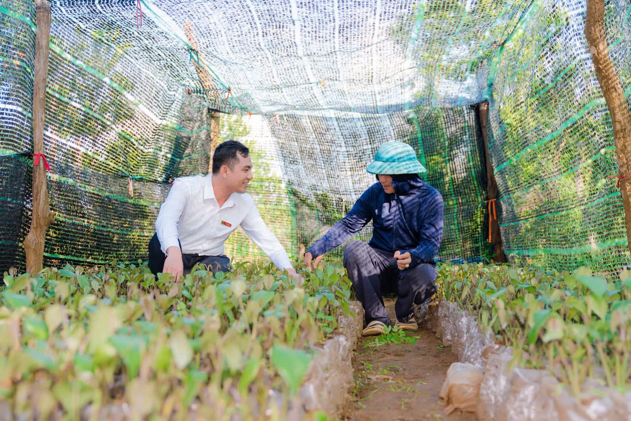 Agribank triển khai nhiều giải pháp hỗ trợ nông dân ổn định sinh kế