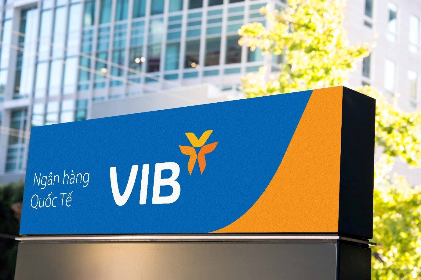 VIB có Phó Tổng Giám đốc mới