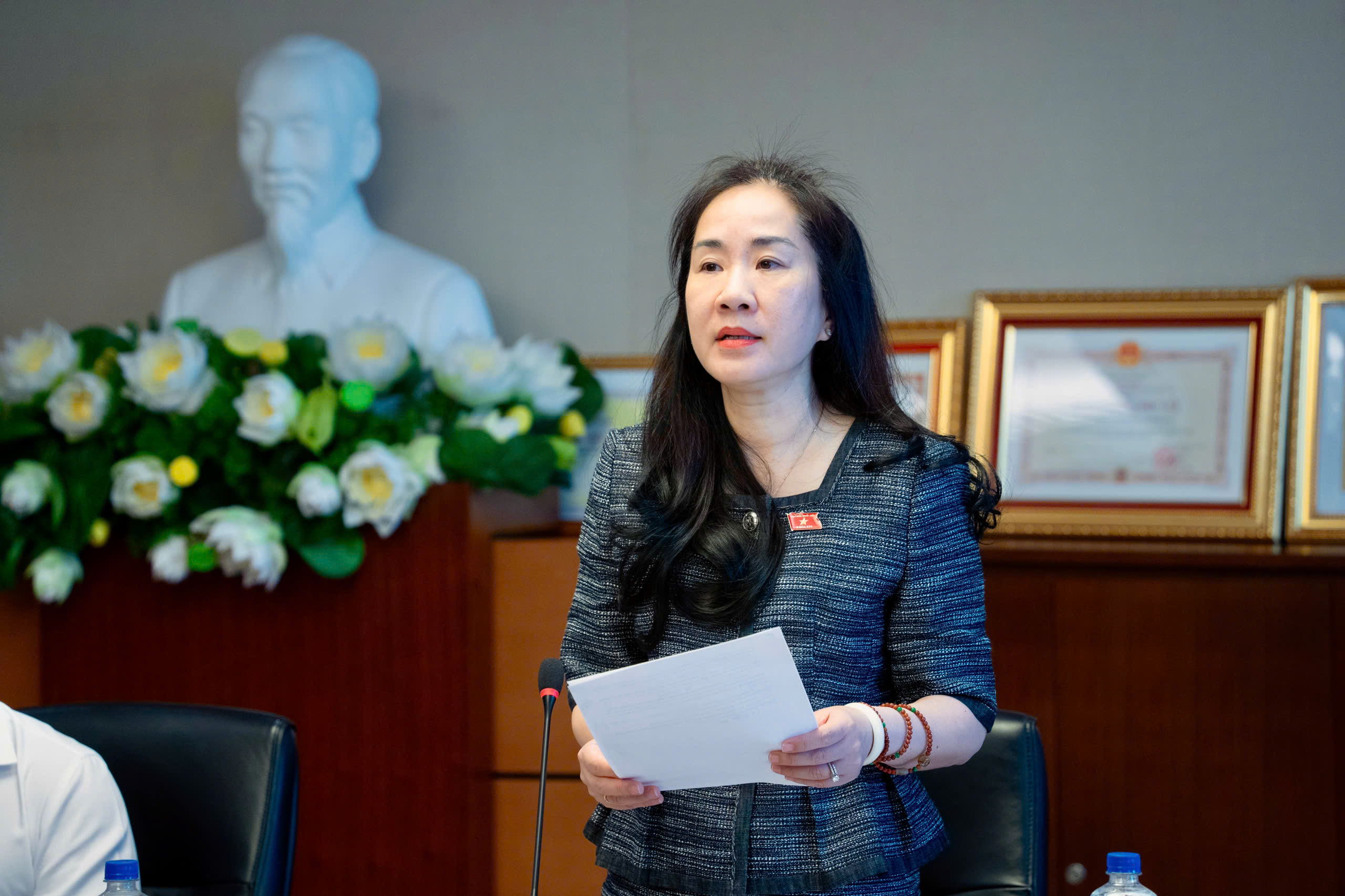 Phó Chủ nhiệm Uỷ ban Kinh tế và Tài chính Đoàn Thị Thanh Mai phát biểu