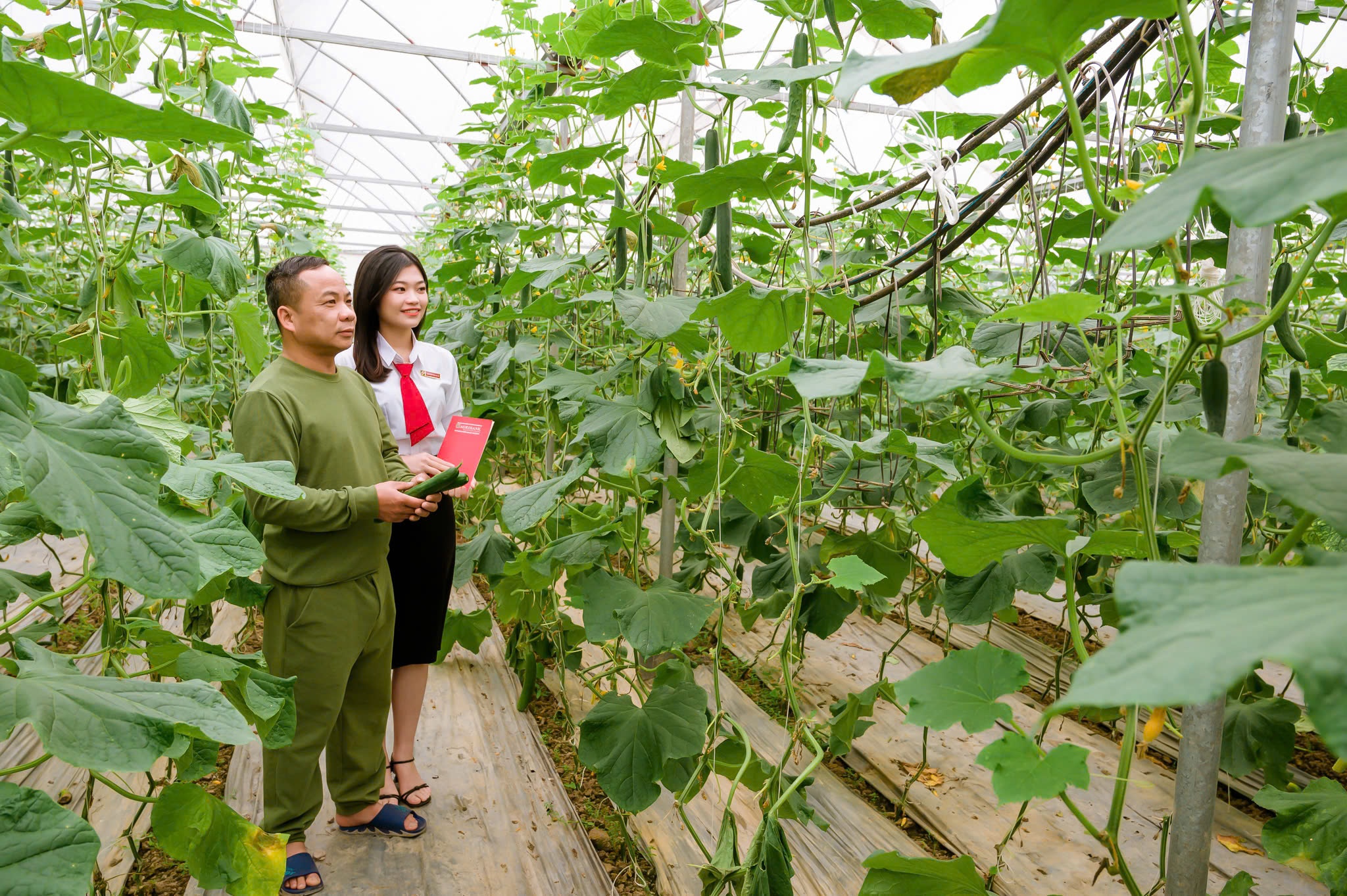 Agribank luôn hiện diện trong hành trình phát triển của mỗi địa phương