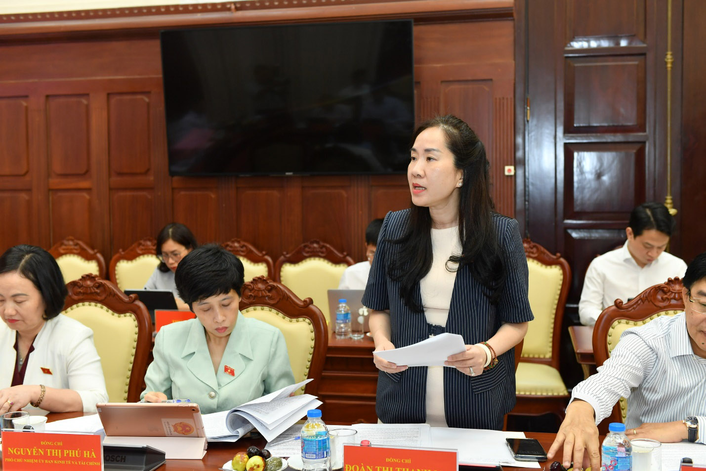 Phó Chủ nhiệm Uỷ ban Kinh tế và Tài chính Đoàn Thị Thanh Mai phát biểu