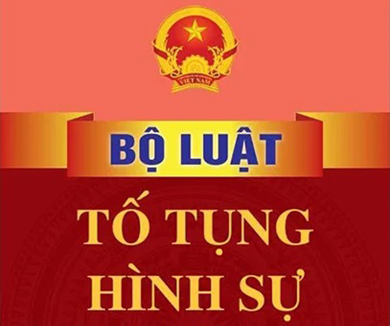 hình sự