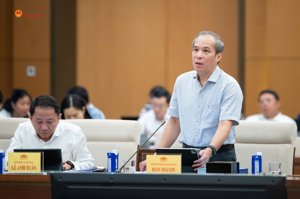Phó Thống đốc Đoàn Thái Sơn phát biểu tại Phiên họp