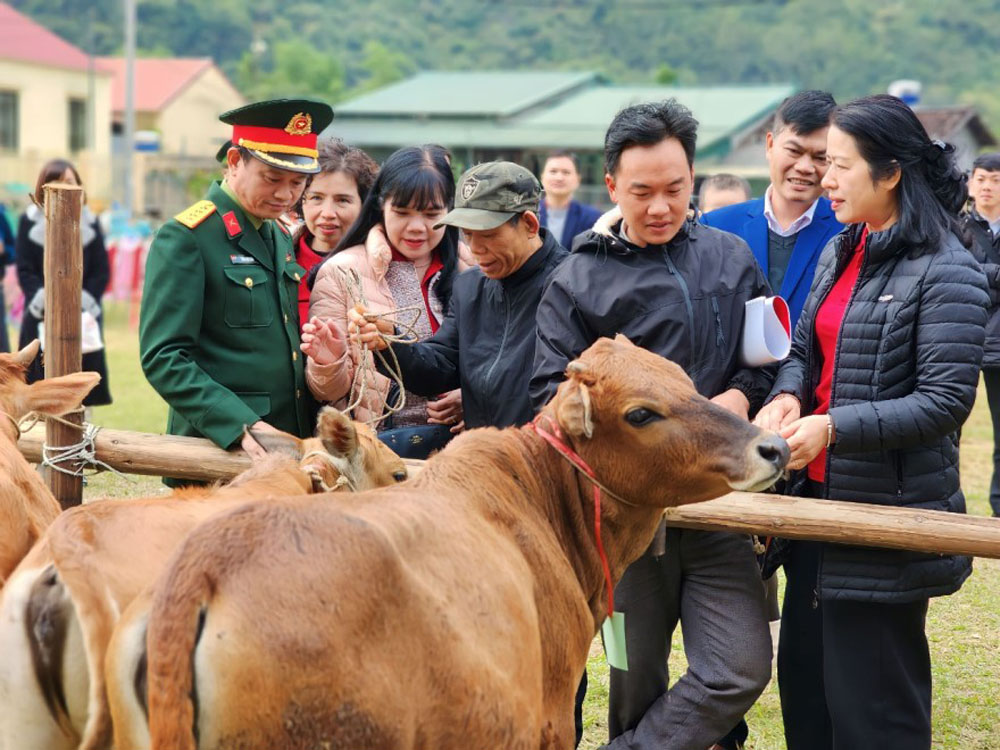 Agribank dong hanh cung chuong trinh Hanh trinh bien cuong xanh tai Cao Bang 2