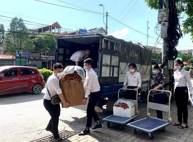 Vietcombank Soc Son San se yeu thuong 2