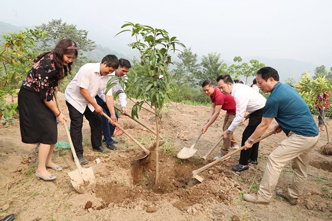 can bo doan vien co quan thuong truc soi noi voi hoat dong an sinh 2