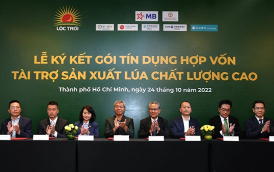 7 ngân hàng hợp vốn cho Lộc Trời vay 100 triệu USD sản xuất lúa chất lượng cao