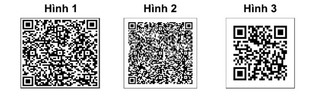MSB dam bao duy tri hoat dong tai 12 diem giao dich 2