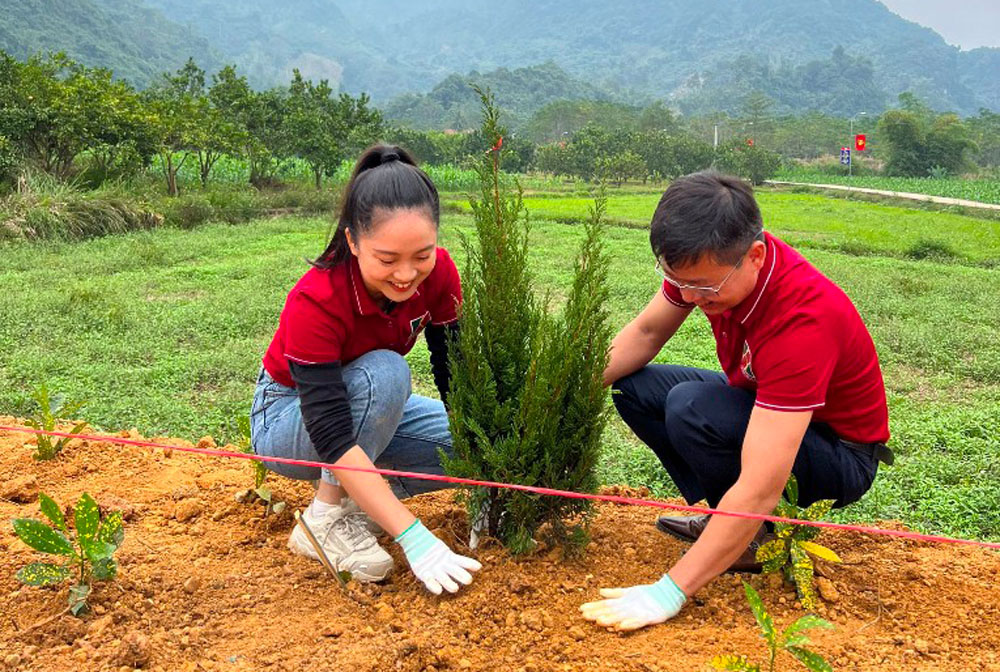 Agribank Tuyen Quang chung tay Vi mot Viet Nam xanh 2