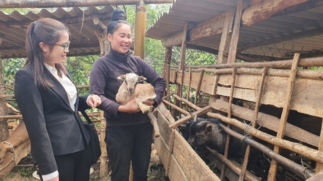 Phu nu Agribank to tham them hinh anh phu nu Viet Nam 1
