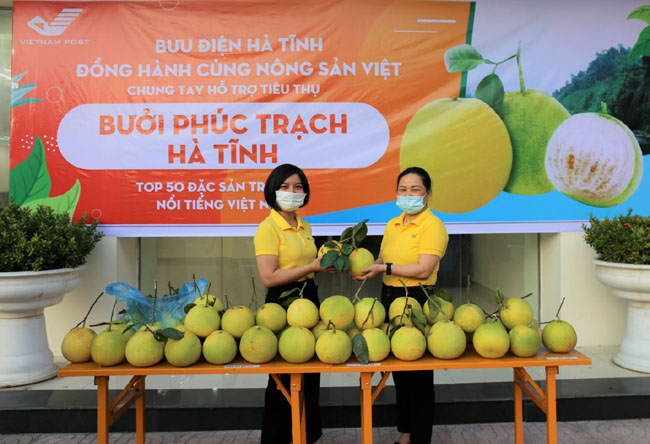 Buoi Phuc Trach chinh thuc len san 2
