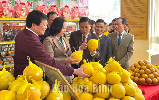 Khai truong cua hang nong san tieu bieu OCOP