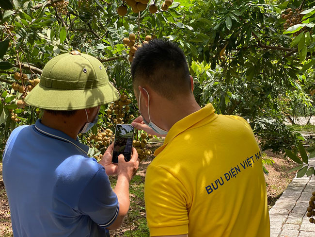Vietnam Post ho tro dua ho san xuat nong nghiep len san TMDT 2