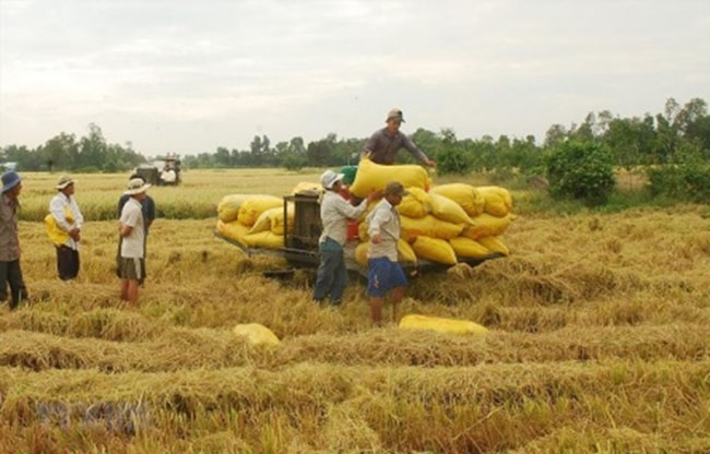 Agribank chung suc dong hanh cung doanh nghiep vuot kho 2