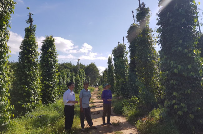 Agribank day manh dau tu va gia tang dich vu tai chinh 2