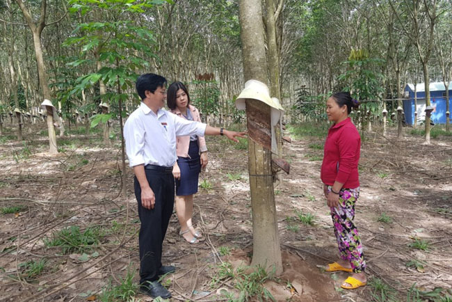 Agribank day manh dau tu va gia tang dich vu tai chinh 3