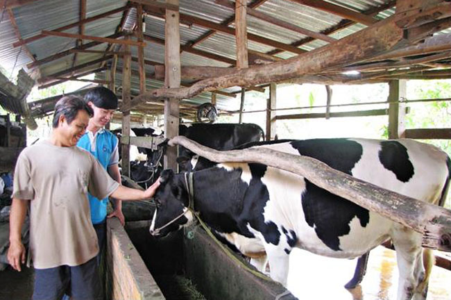 Agribank gop phan thuc day phat trien nong nghiep tuan hoan 2