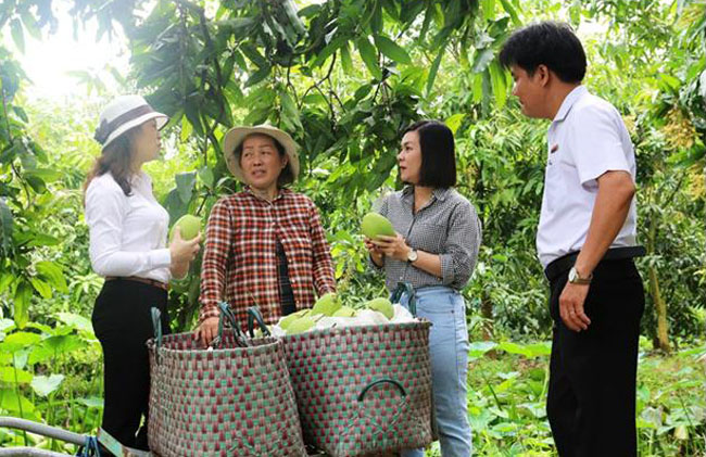 Agribank gop phan thuc day phat trien nong nghiep tuan hoan 3