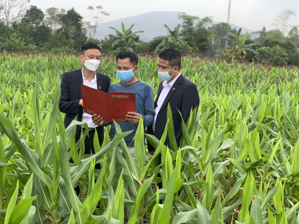 Agribank tamnong2