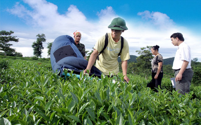 Agribank tiep suc ho san xuat doanh nghiep vung tin vuot qua dai dich 1