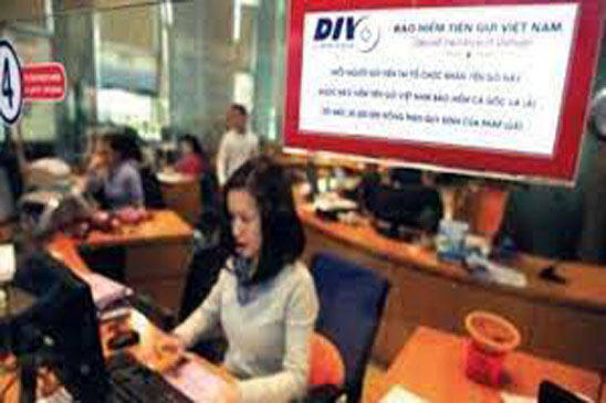 Để DIV tham gia sâu hơn vào quá trình tái cơ cấu các TCTD yếu kém