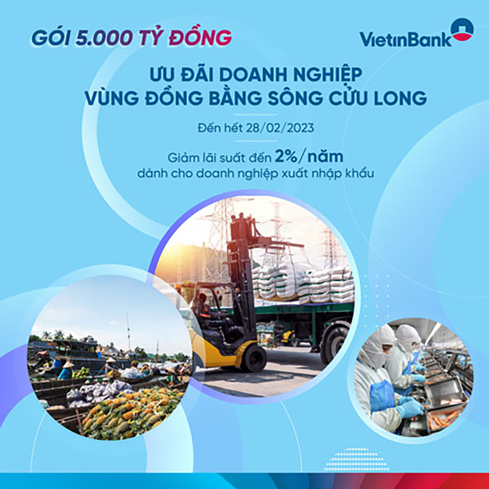 Vietinbank giam them 2 lai suat cho vay doanh nghiep vung dong bang song cuu long 1