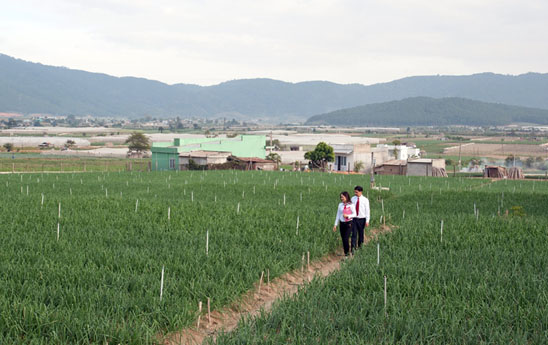 Agribank phát huy sức mạnh đại đoàn kết khẳng định vị thế và uy tín thương hiệu NHTM hàng đầu Việt Nam