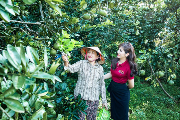Agribank tu hao da gop phan quan trong vao thanh tuu chung 2