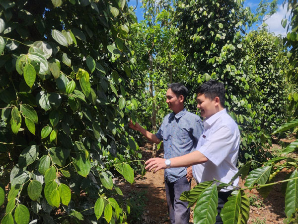 Agribank va nhung giai phap gop phan nang tam nong thuy san Viet 2