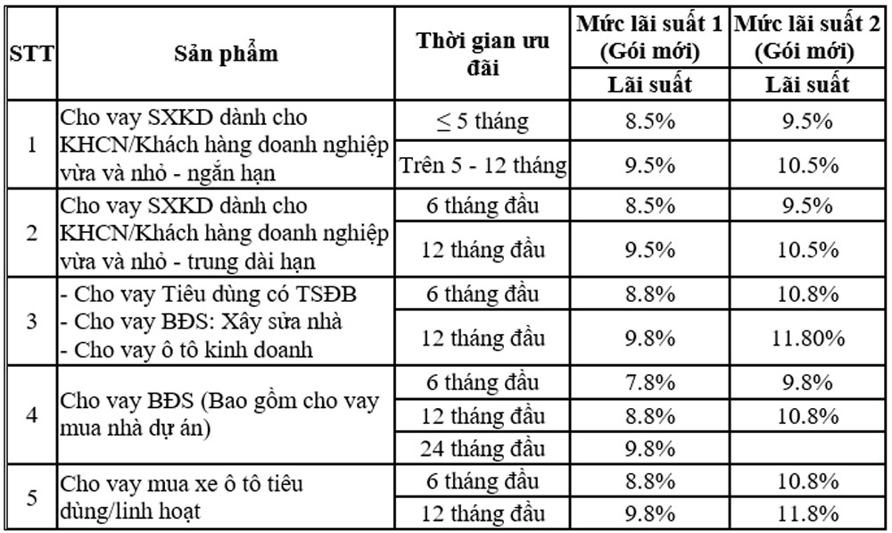 CB cho khach hang ca nhan doanh nghiep vua va nho vay von 2