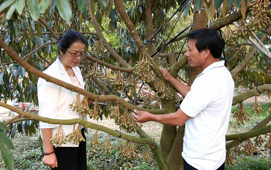 O dau co Tam nong o do co Agribank