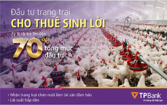 TPBank dành 1.000 tỷ đồng tài trợ xây dựng trang trại chăn nuôi để cho thuê