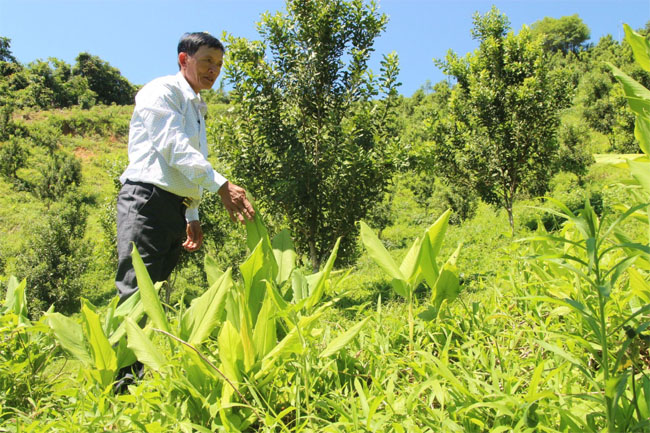 Doi mac ca tru phu mo huong lam giau 3