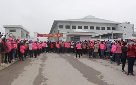 Hỗ trợ doanh nghiệp có nguy cơ phá sản, nợ lương để giảm tranh chấp lao động
